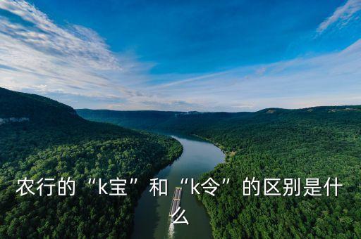农业银行k保是什么意思