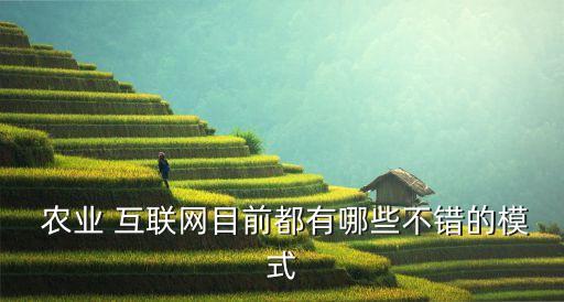 农业 互联网目前都有哪些不错的模式