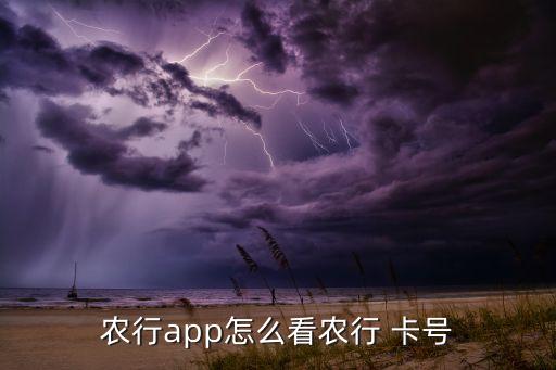 农行app怎么看农行 卡号