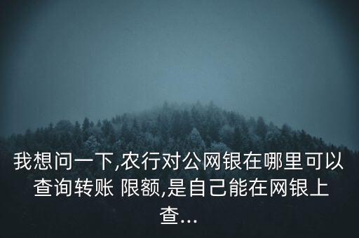 我想问一下,农行对公网银在哪里可以 查询转账 限额,是自己能在网银上查...