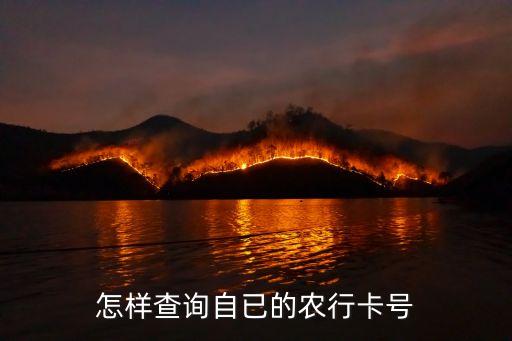 农业银行的帐号怎么查看