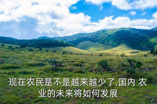 目前农村的农业怎么样了,农业农村委员会待遇怎么样