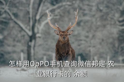 怎样用OpPO手机查询微信邦定 农业银行卡的 余额