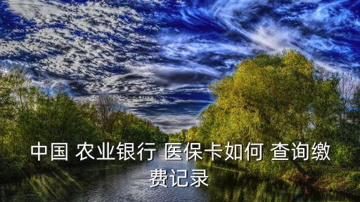 农业银行app怎么查询医保余额