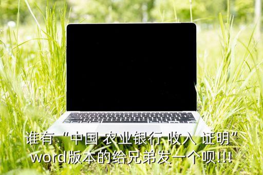 谁有“中国 农业银行 收入 证明”word版本的给兄弟发一个呗!!!