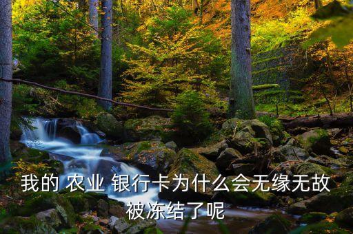 我的 农业 银行卡为什么会无缘无故被冻结了呢