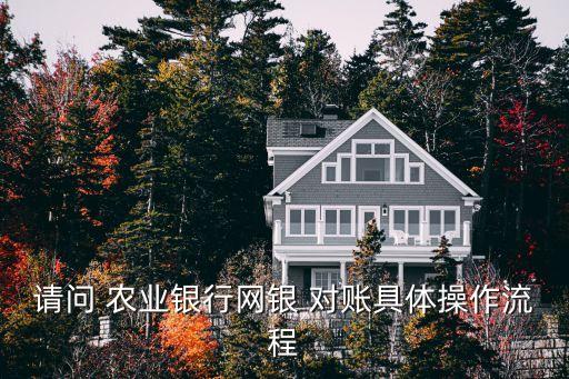 请问 农业银行网银 对账具体操作流程