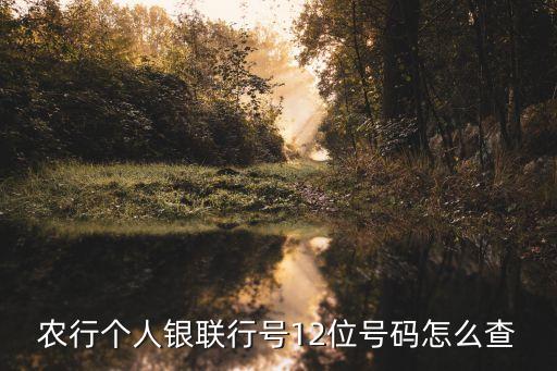 农业银行认证号怎么查询,怎么查询自己的农业银行