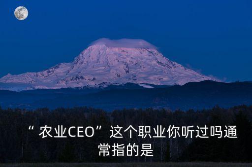 农业经理人怎么上网