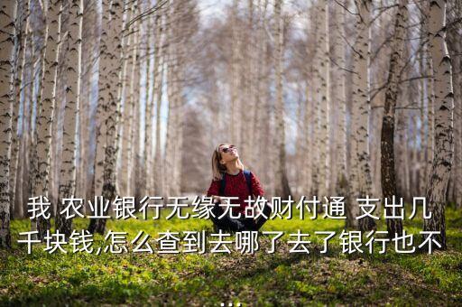 农业银行支出的钱怎么找回