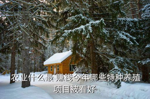 国外农业怎么赚钱的啊,国外自媒体怎么赚钱
