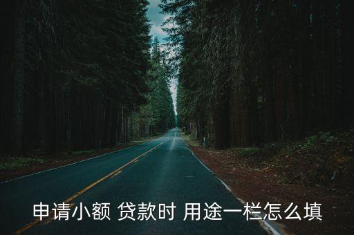 申请小额 贷款时 用途一栏怎么填