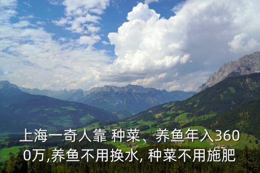 上海一奇人靠 种菜、养鱼年入3600万,养鱼不用换水, 种菜不用施肥