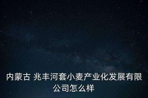 内蒙古 兆丰河套小麦产业化发展有限公司怎么样