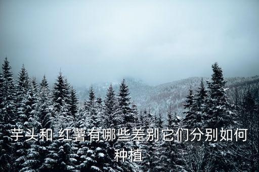 红薯农业名字怎么起的,农业公司名字怎么起