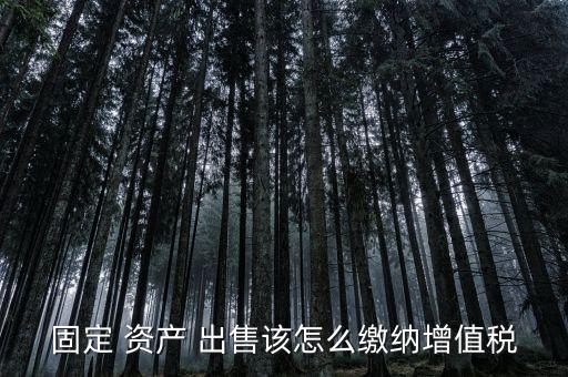 农业企业出售资产怎么交税