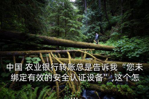 中国 农业银行转账总是告诉我“您未 绑定有效的安全认证设备”,这个怎...