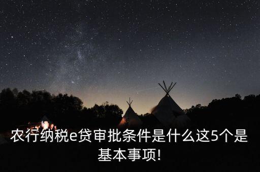 农业银行的税贷怎么放款