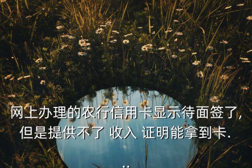 网上办理的农行信用卡显示待面签了,但是提供不了 收入 证明能拿到卡...