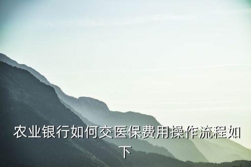  农业银行如何交医保费用操作流程如下