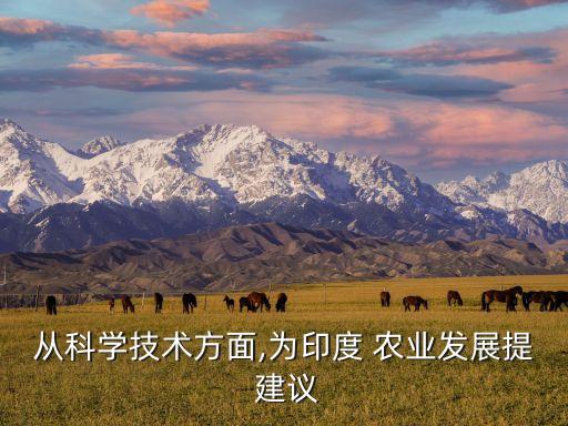 种植农业建议怎么写简短,农业种植项目计划书怎么写