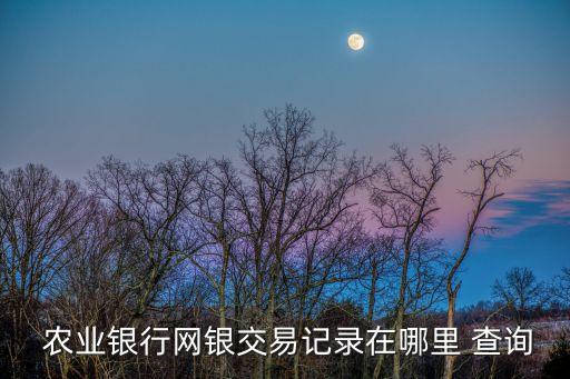  农业银行网银交易记录在哪里 查询