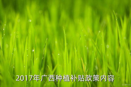 2017年广西种植补贴政策内容