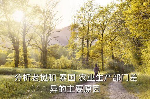  分析老挝和 泰国 农业生产部门差异的主要原因