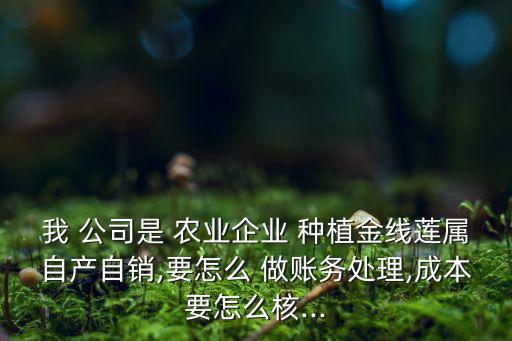 农业药材种植公司怎么做账