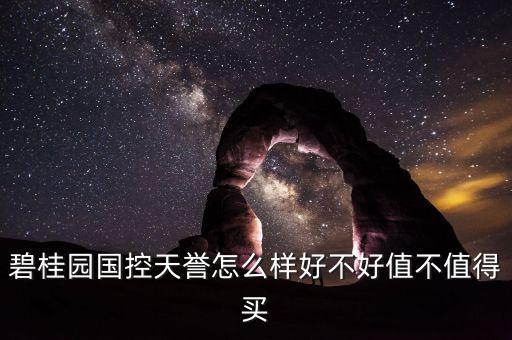 碧桂园国控天誉怎么样好不好值不值得买