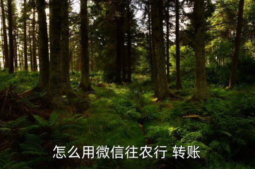 怎么开通农业微银行转账,开通微众银行转账有手续费吗