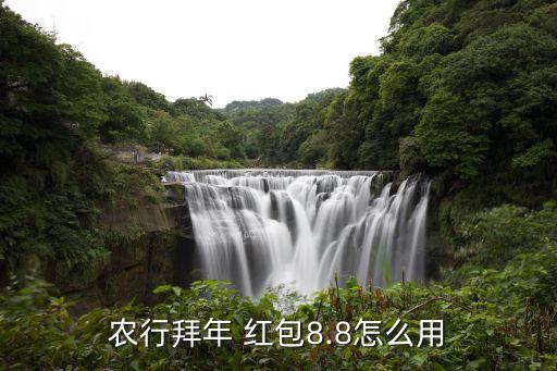 农业银行消费红包怎么用