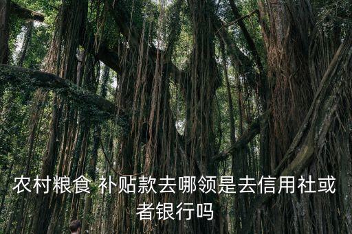 农业补贴存折是怎么的