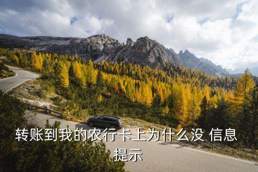 农业银行怎么信息提示不了