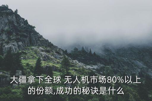 大疆拿下全球 无人机市场80%以上的份额,成功的秘诀是什么