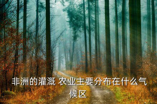 非洲什么农业,非洲的农业主要以什么为主