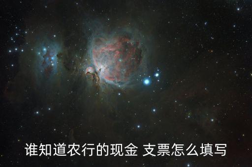 谁知道农行的现金 支票怎么填写