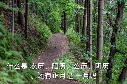 什么是 农历、阳历、公历、阴历、、、还有正月是 一月吗