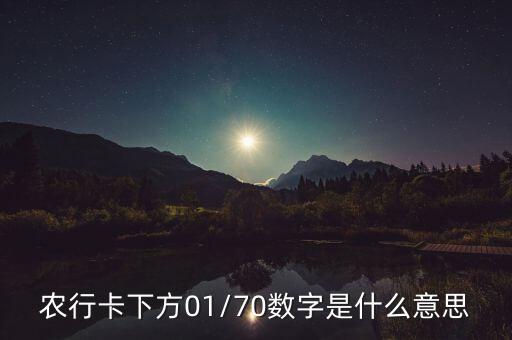 农业银行一码畅游什么意思