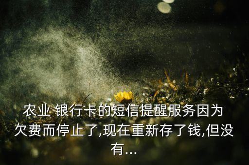 农业银行卡怎么查询欠费