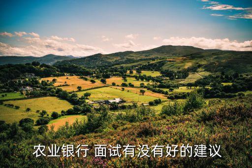  农业银行 面试有没有好的建议