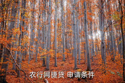 农行网捷贷 申请条件