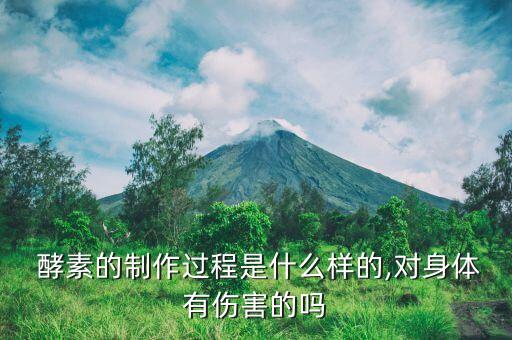  酵素的制作过程是什么样的,对身体有伤害的吗