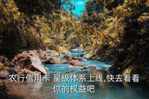 农业银行2星级怎么分类