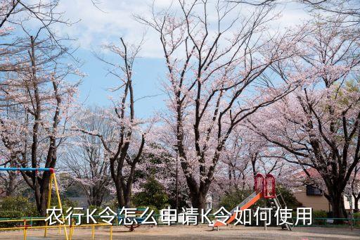 农行K令怎么申请K令如何使用