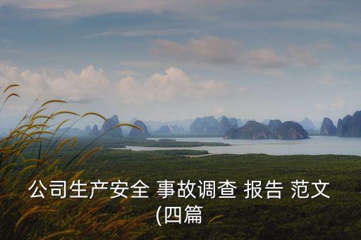 公司生产安全 事故调查 报告 范文(四篇