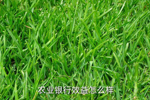 钦州农业银行怎么样,广西钦州农业银行客服电话