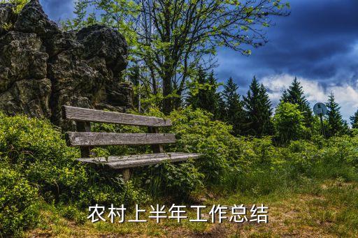 农村上半年工作总结