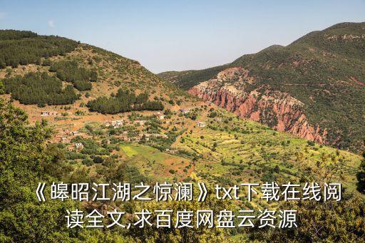 《皞昭江湖之惊澜》txt下载在线阅读全文,求百度网盘云资源