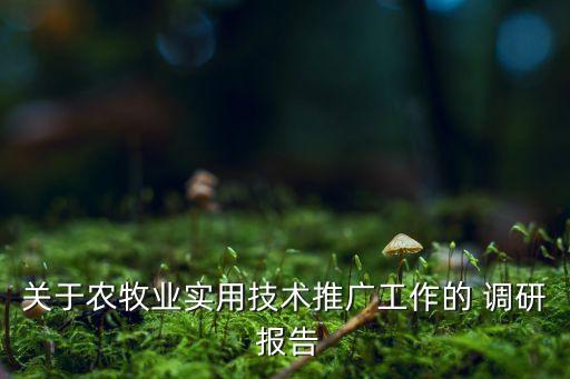 农业种植考察调研报告怎么写,农业发展调研报告3000字怎么写